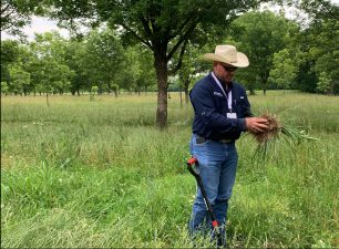A man in a cowboy hat, blue button down, jeans and boots examines a handful of soil in a pecan orchard.