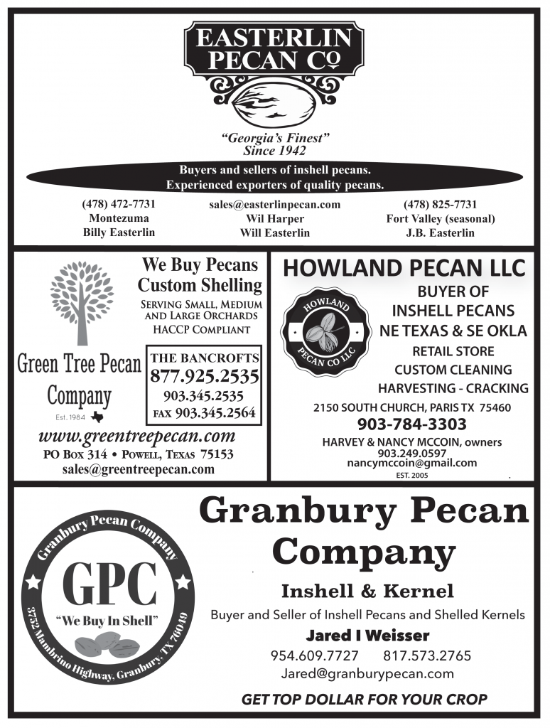 October 2023 Marketing Guide Pecan South MagazinePecan South magazine