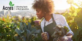 Photo for Acres: Cultivating Equity in Black Agriculture.