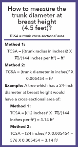 Formulas for measuring trunk diameter at breast height (4.5 feet).