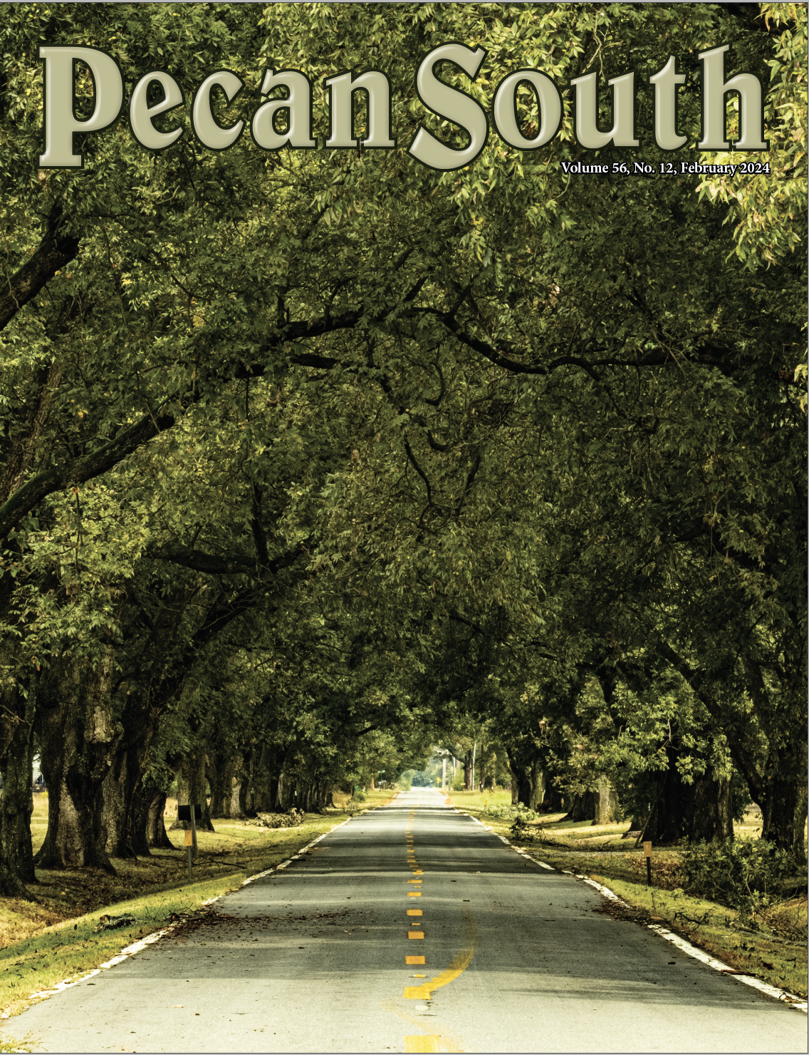 The cover of Pecan South's February 2024 issue features the logo at the top and a photo of a road leading between two rows of mature pecan trees. The canopies of the trees stretch across the road and form a dark green arch down the road.