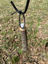 A trap hangs on a metal shepherd's hook and is used to monitor for ambrosia beetle.