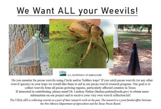 Solicitation for weevils printed in the April and May issues of Pecan South.
