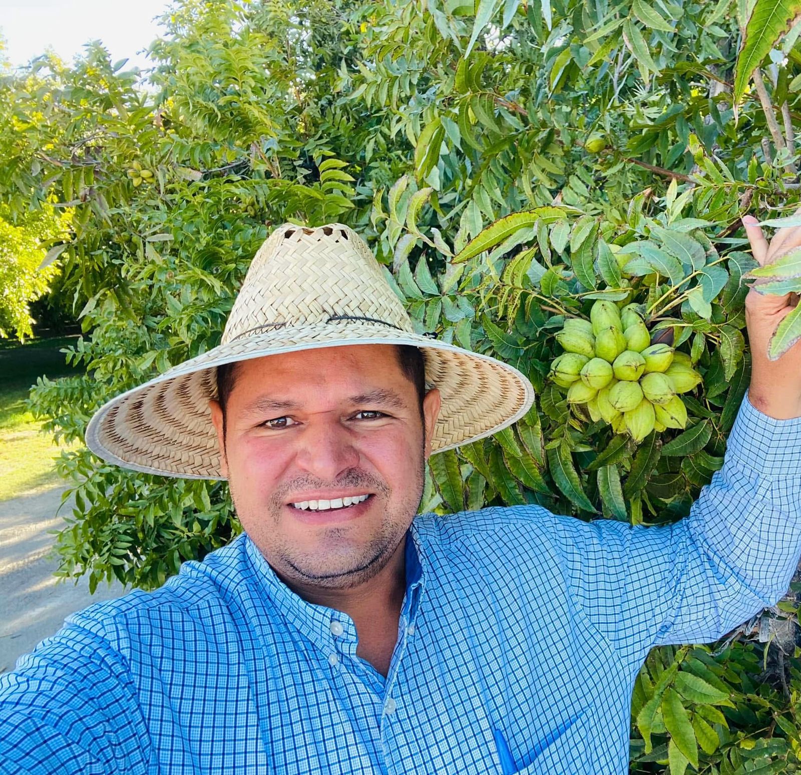 Mario Villanueva is an advisor and consultant with 20 years of experience in integrated pecan management, primarily in Chihuahua, but also in Zacatecas and Aguascalientes. He currently advises on 1,500 hectares of high-density pecan orchards. (Photo provided by Nadia Venticinque)