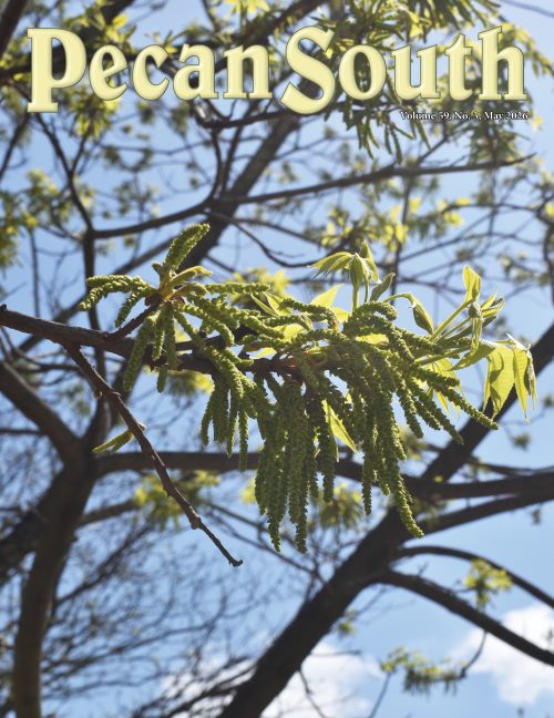 Issue Cover