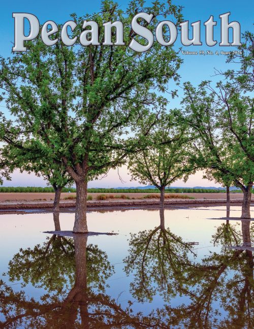 Issue Cover