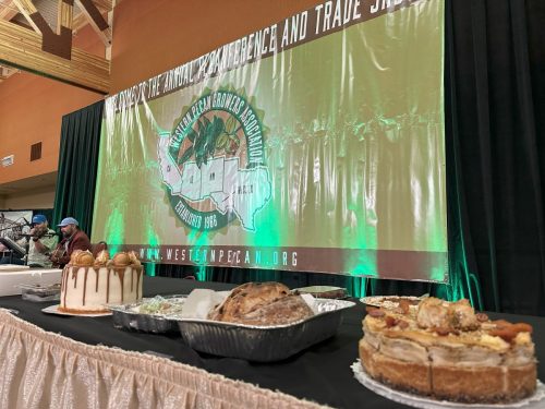 Live music and pecan food dishes