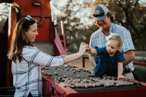 Two parents hold their young daughter next to a pecan sorter and show her inshell pecans.