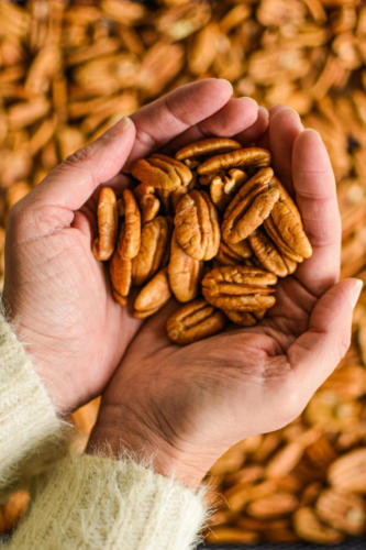 Hands hold shelled pecans over an open container.