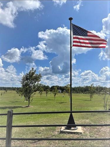 An American flag flies proudly in a young pecan orchard.