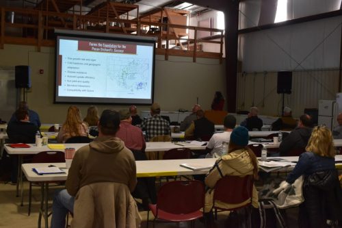 Presentation on rootstock 