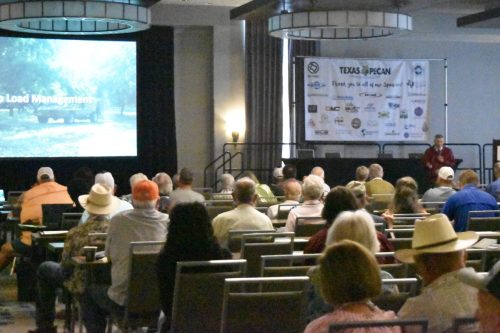 Premium Pecans: Techniques for enhancing kernel quality —Dr. Larry Stein, Department of Horticultural Science—Uvalde, TX