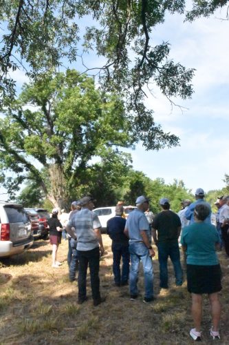 Nestled along the picturesque Red River, we will visit a native pecan orchard boasting sprawling trees and beautiful landscapes.