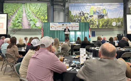 Georgia pecan industry during the awards luncheon.