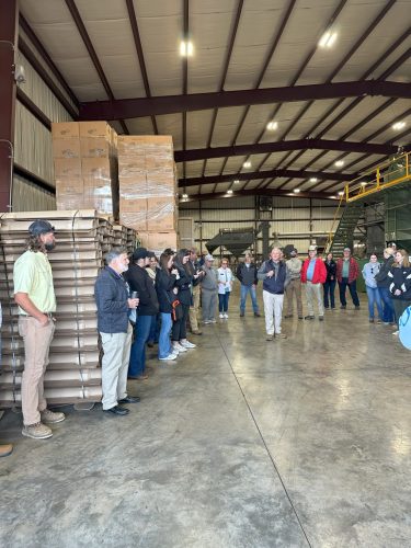 Field day at Lane Southern Orchards 