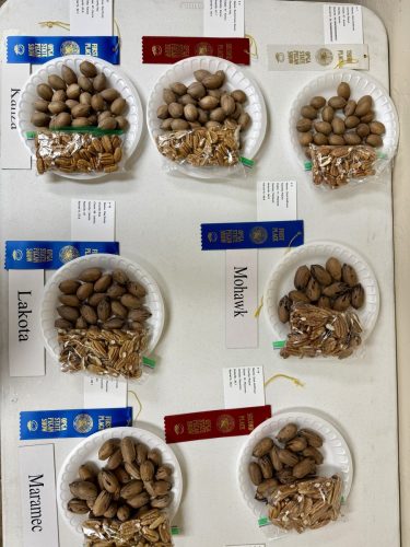 Oklahoma Pecan Show